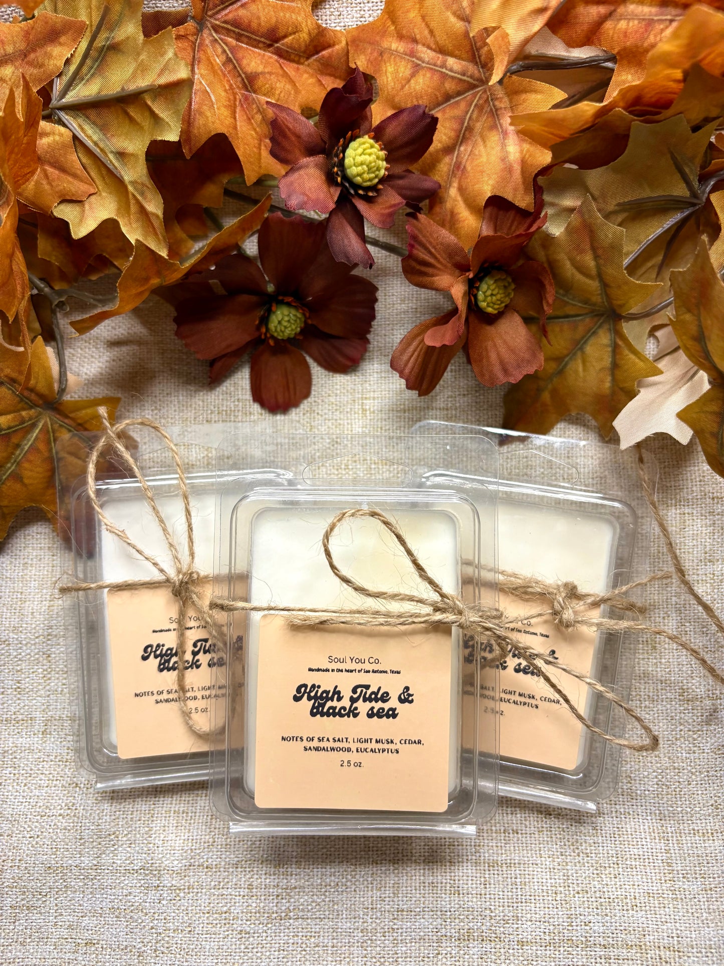 High Tide & Black Sea Wax Melt- 2.5 oz.